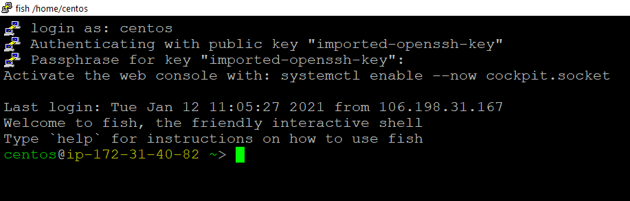 /img/aws/centos-gui-linux/ssh-centos-login.png