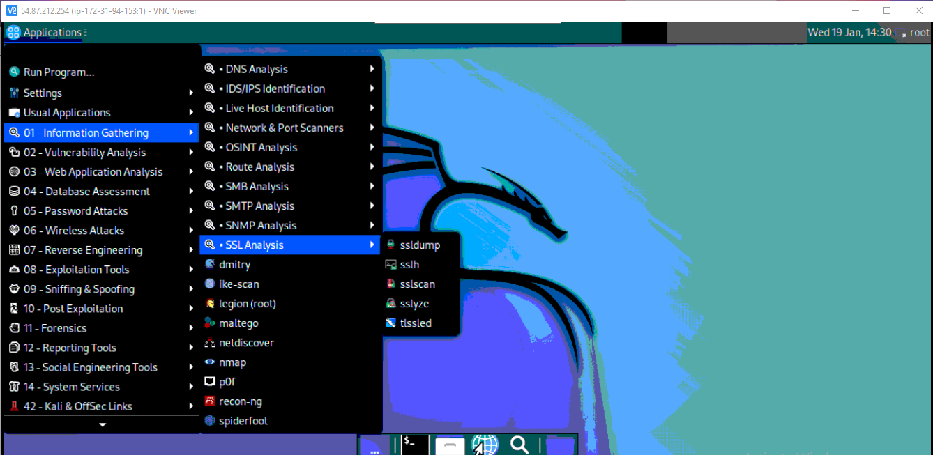 /img/aws/desktop-linux-kali/kali-tools.png