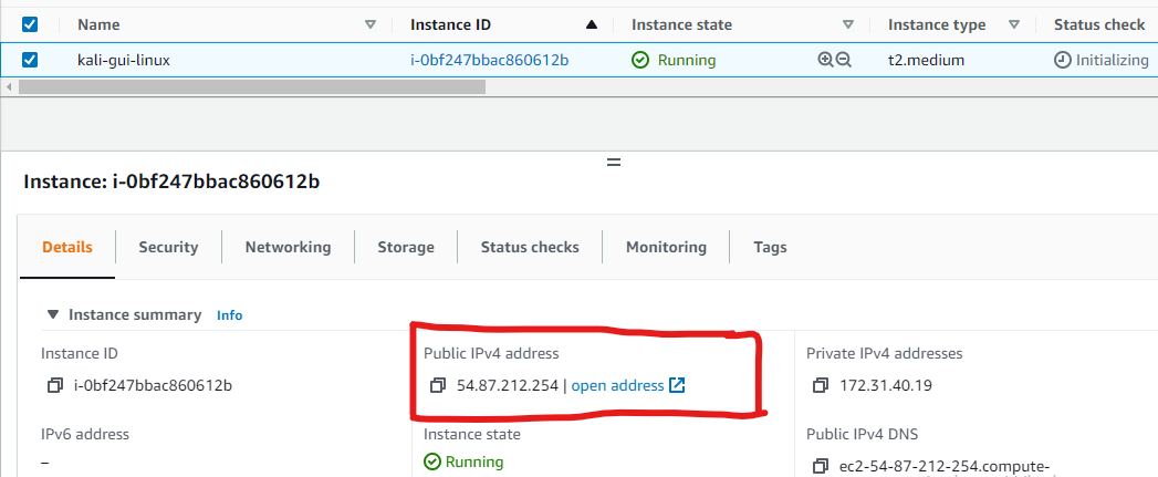 /img/aws/desktop-linux-kali/public-ip.png