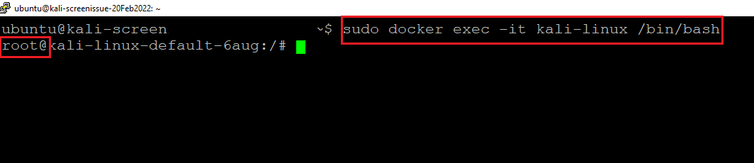 /img/azure/desktop-linux-kali/login-to-kali-terminal.png