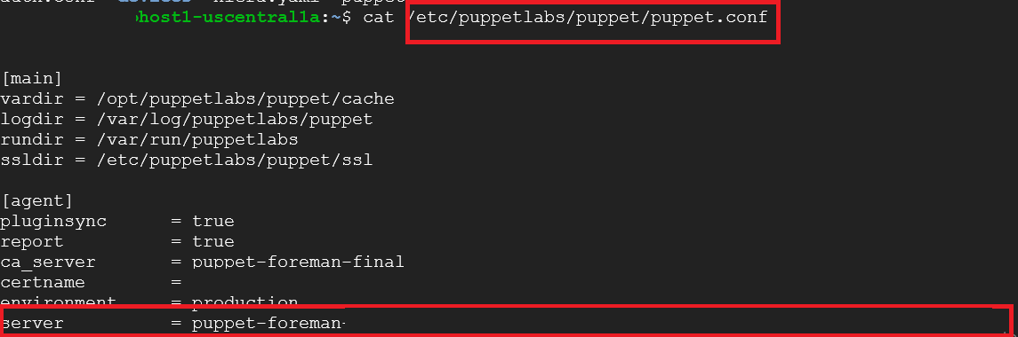 /img/gcp/puppet-support/puppet-conf.png