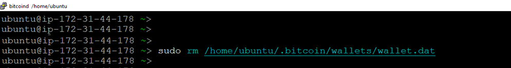 /img/aws/bitcoin_wallet_dat_delete.png