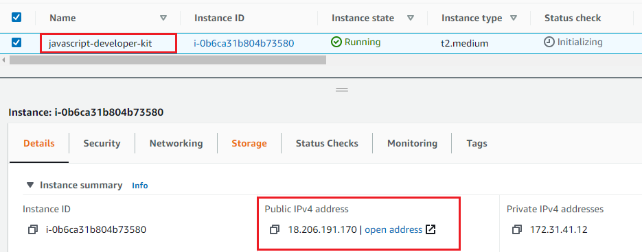 /img/aws/javascript-developer-kit/public-ip.png