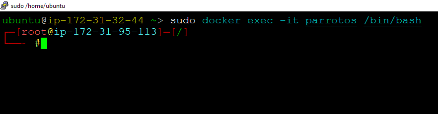 /img/aws/parrotos-linux/parrotos-terminal.png