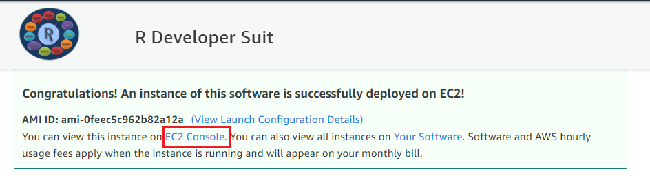 /img/aws/r-developer-suit/deployed.png