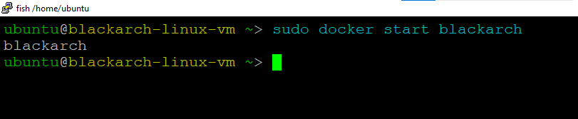 /img/azure/blackarch-linux/start-blackarch.png