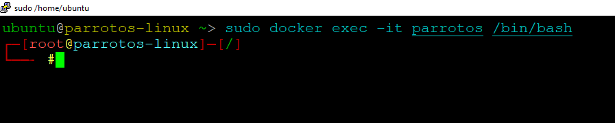 /img/azure/parrotos-linux/login-to-parrotos-terminal.png