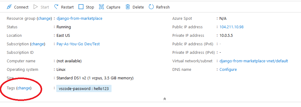 /img/azure/python-django-flask/tags-on-vm-overview.png