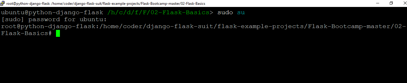 /img/common/python-django-flask-common-images/flask-sudo-su.png