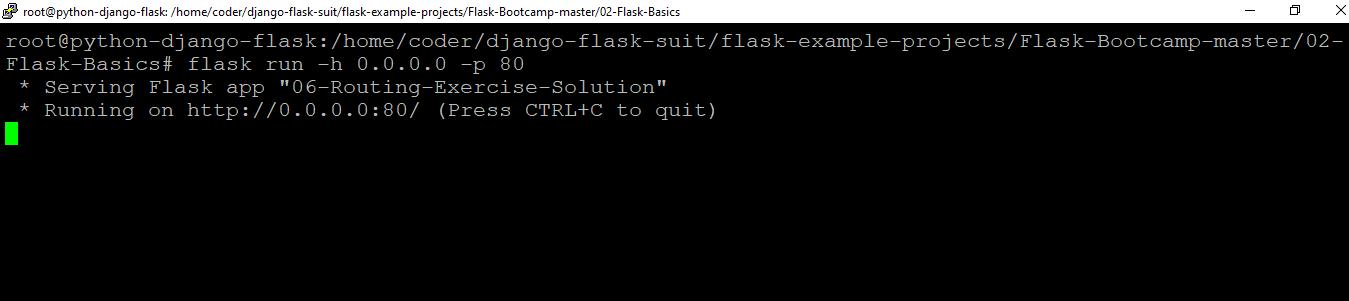 /img/common/python-django-flask-common-images/run-flask-server.png