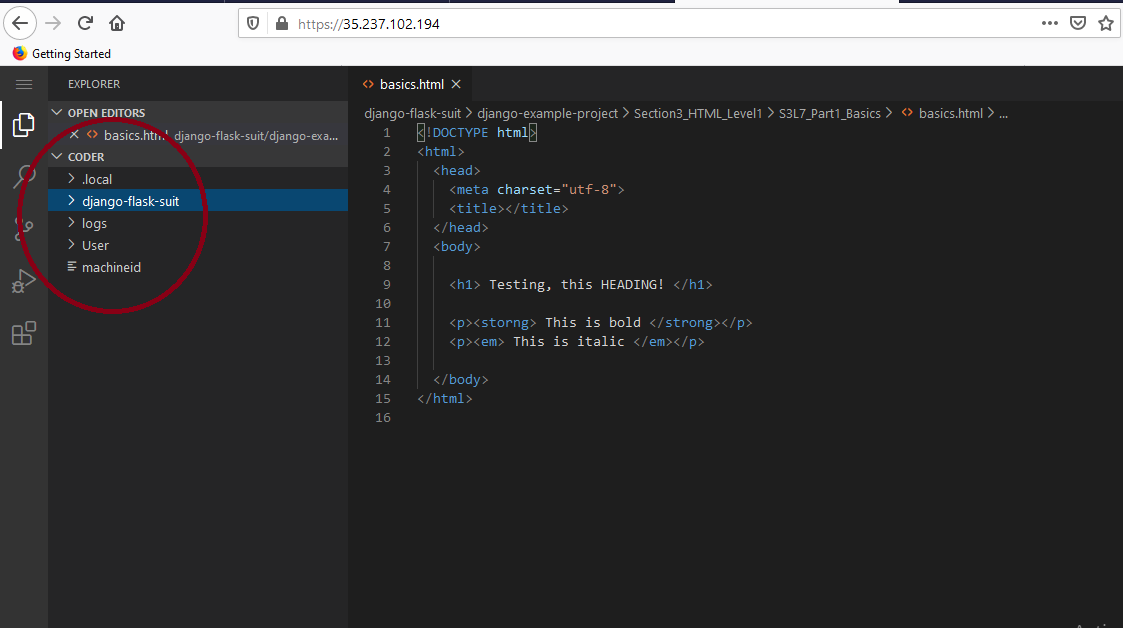 /img/common/python-django-flask-common-images/vscode-web-interface.png