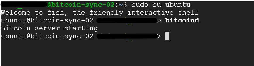 /img/gcp/bitcoin-bitcoind-command.png