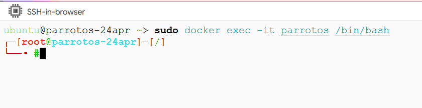 /img/gcp/parrotos-linux/login-to-parrotos-terminal.png