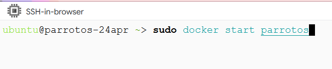 /img/gcp/parrotos-linux/start-parrotos-docker.png