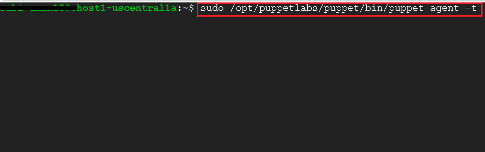 /img/gcp/puppet-support/puppet-agent.png