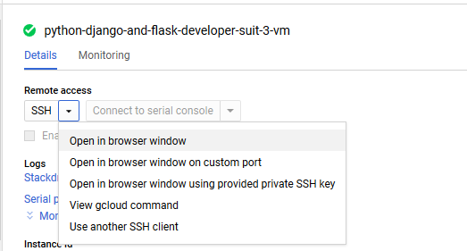 /img/gcp/python-django-flask/ssh-option.png